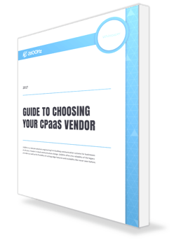 guide-to-choosing-cpaas-vendor-cover.png